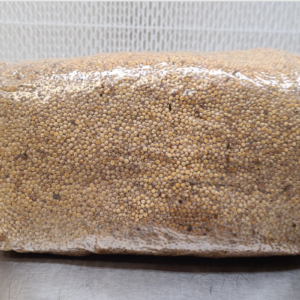 3lb and 5lb Millet sterile grain bags