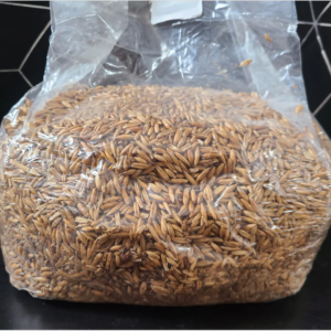 3lb and 5lb Whole oat sterile grains