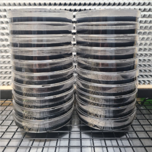Black Agar PDY Petri Dish 20 pack