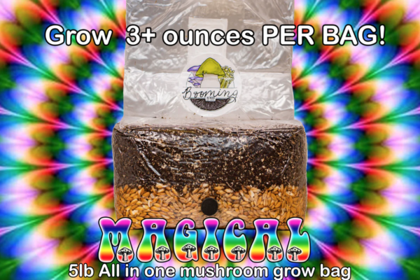 The magical 5lb All in one mushroom growing bag