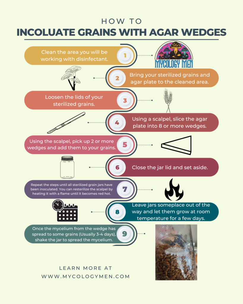 how to inoculate grains