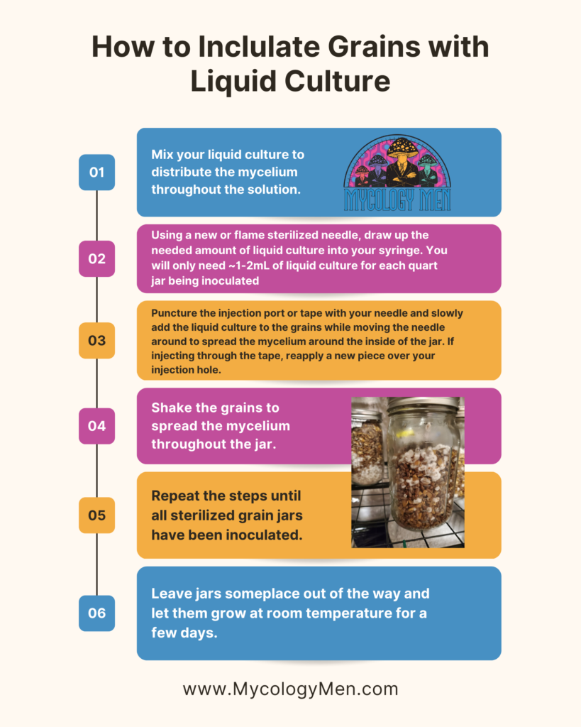 how to inoculate liquid culture
