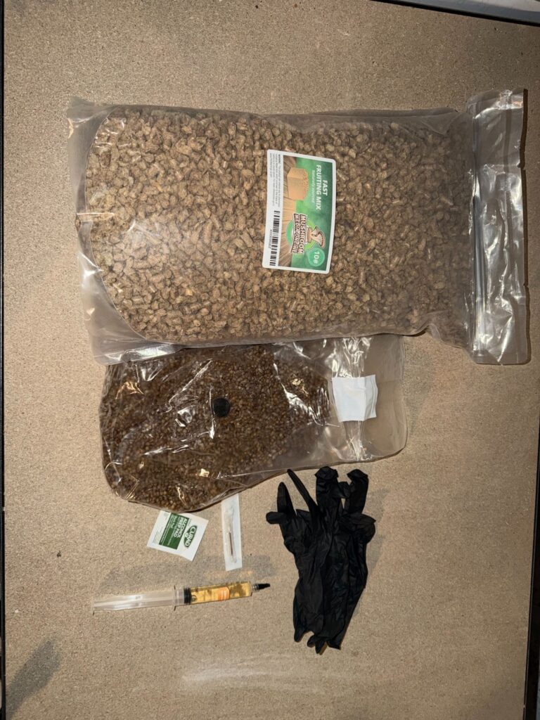 Materials needed to learn how to grow lion's mane