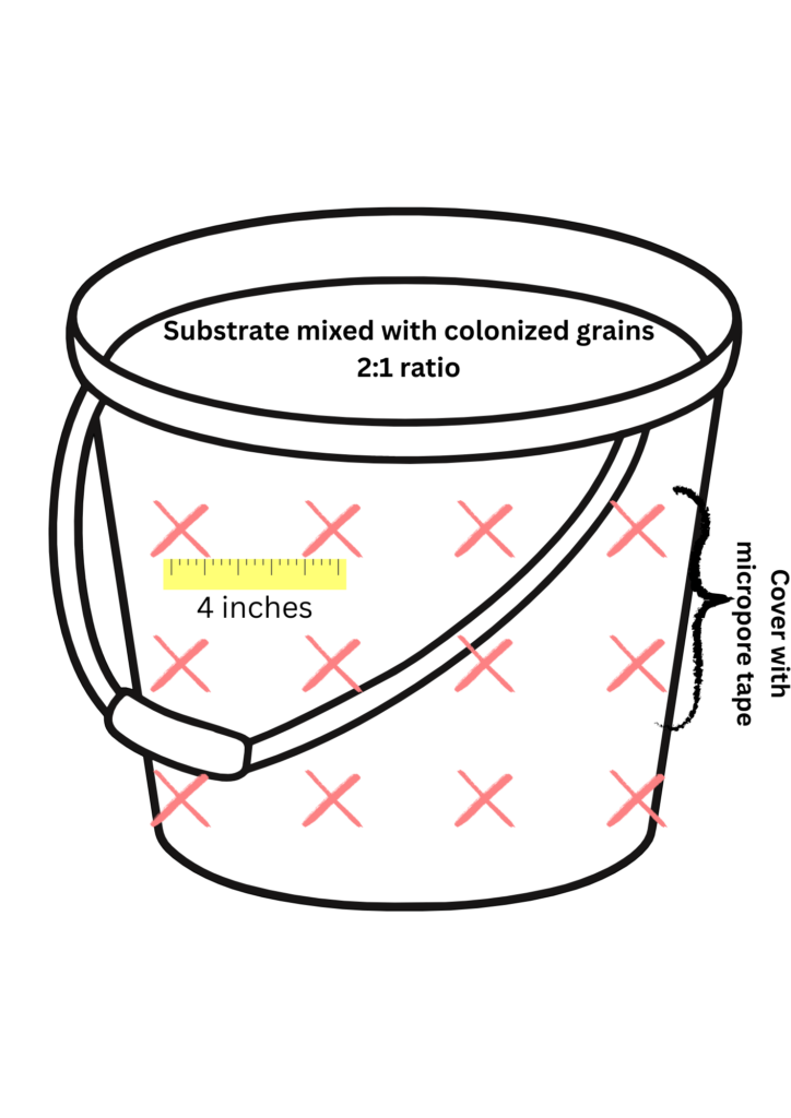 Graphic to describe where to make holes in your bucket