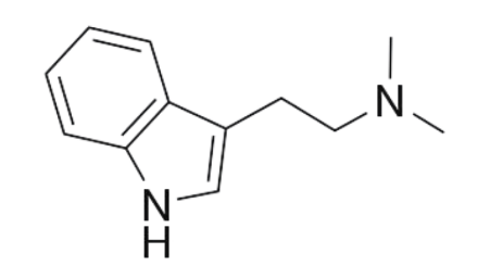 N,N Dimethyltryptamine 