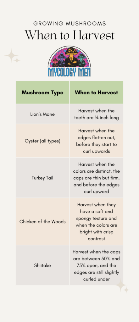 when to harvest mushrooms