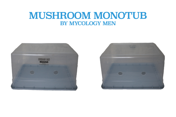 monotub for mushrooms