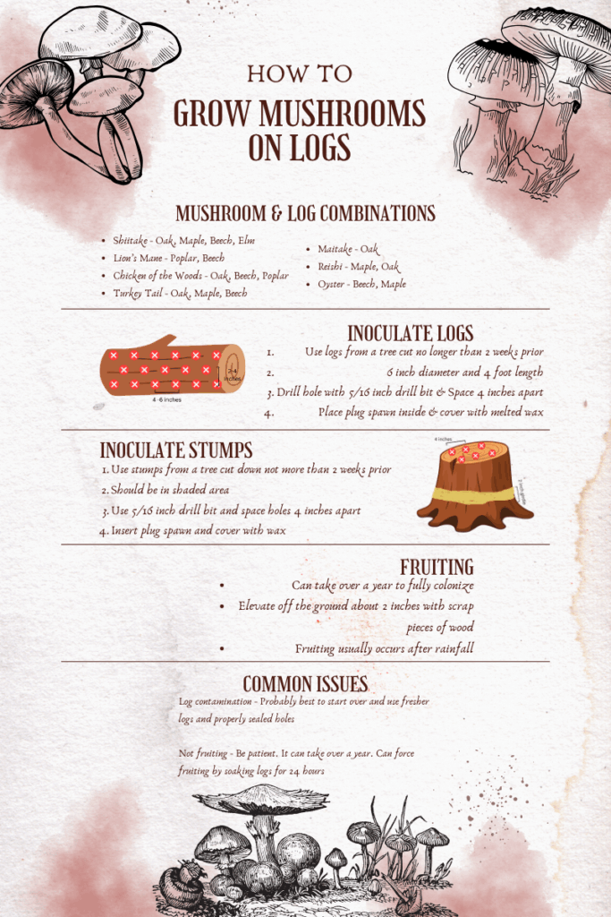 how to grow mushrooms on logs