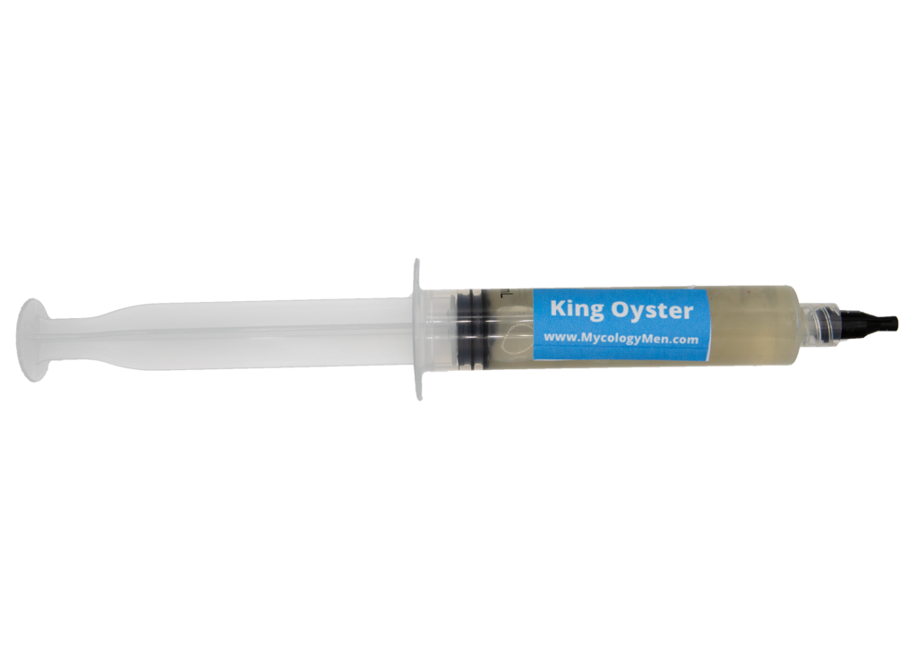 King Oyster Liquid Culture