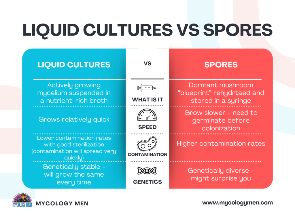 Liquid Culture vs Spore Syringe Comparison Chart