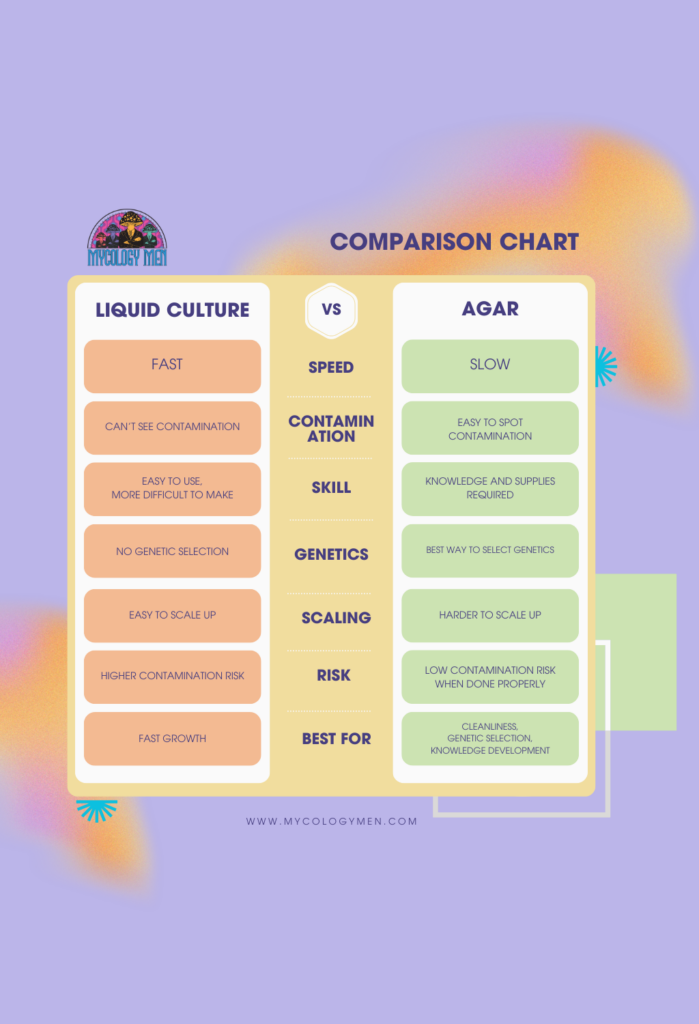 Infographic that compares liquid culture vs agar. By Mycology Men