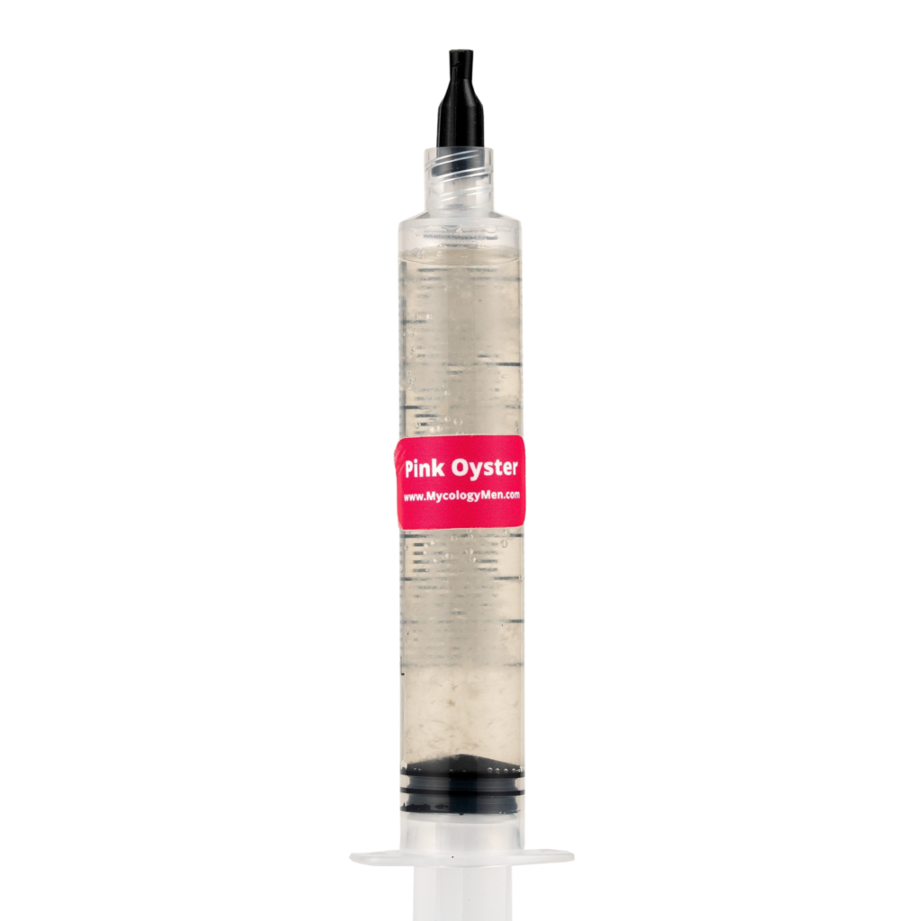 Pink Oyster Liquid Culture