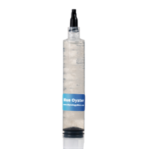 blue oyster liquid culture syringe
