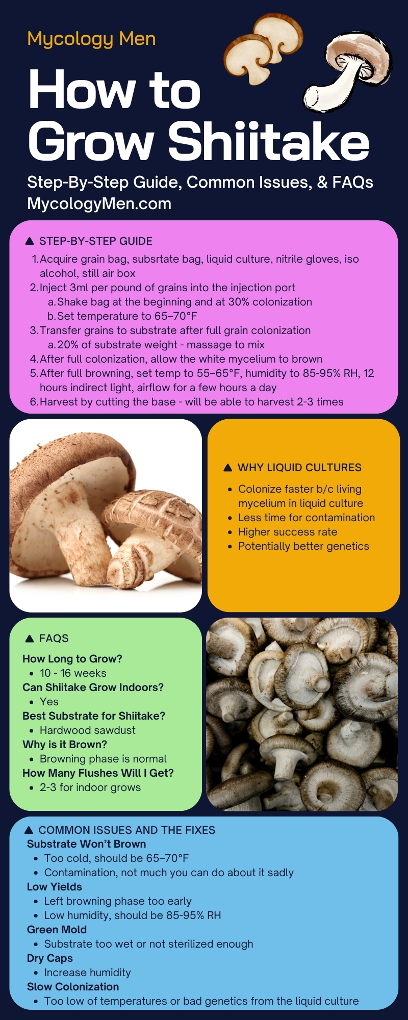 how to grow shiitake mushrooms
