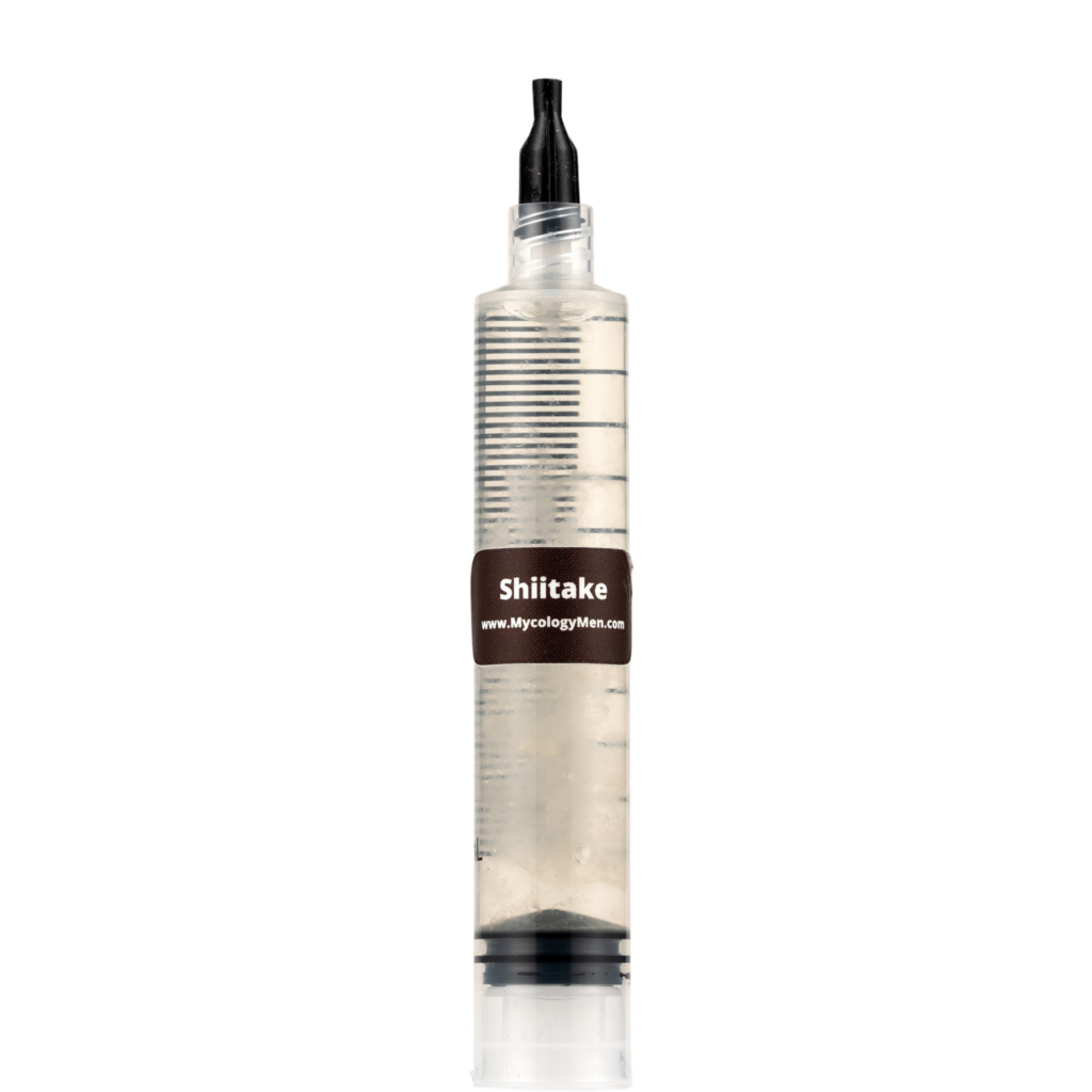 Shiitake mushroom liquid culture