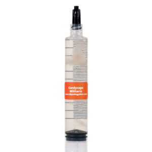 Cordyceps Militaris liquid culture syringe