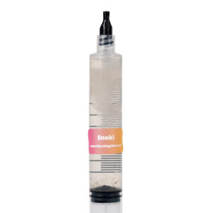 White Enoki liquid culture syringe