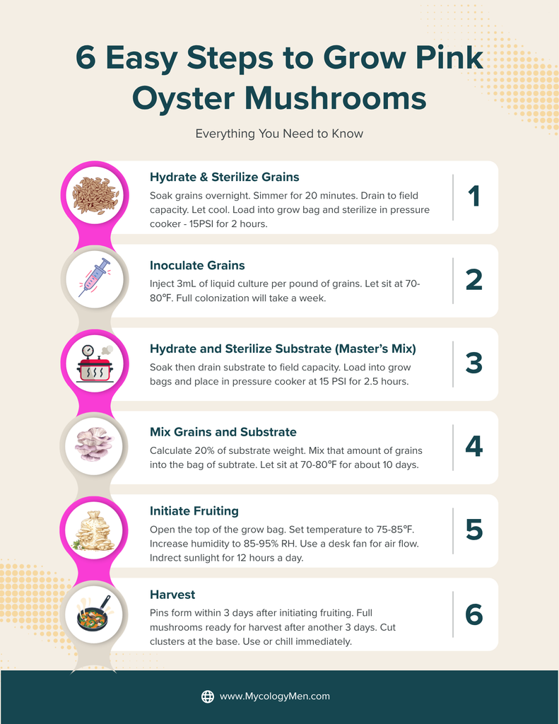 how to grow pink oyster mushrooms