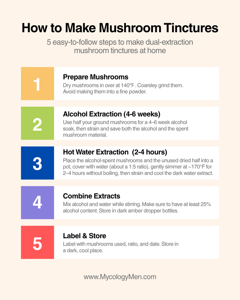 How to Make Mushroom Tinctures infographic