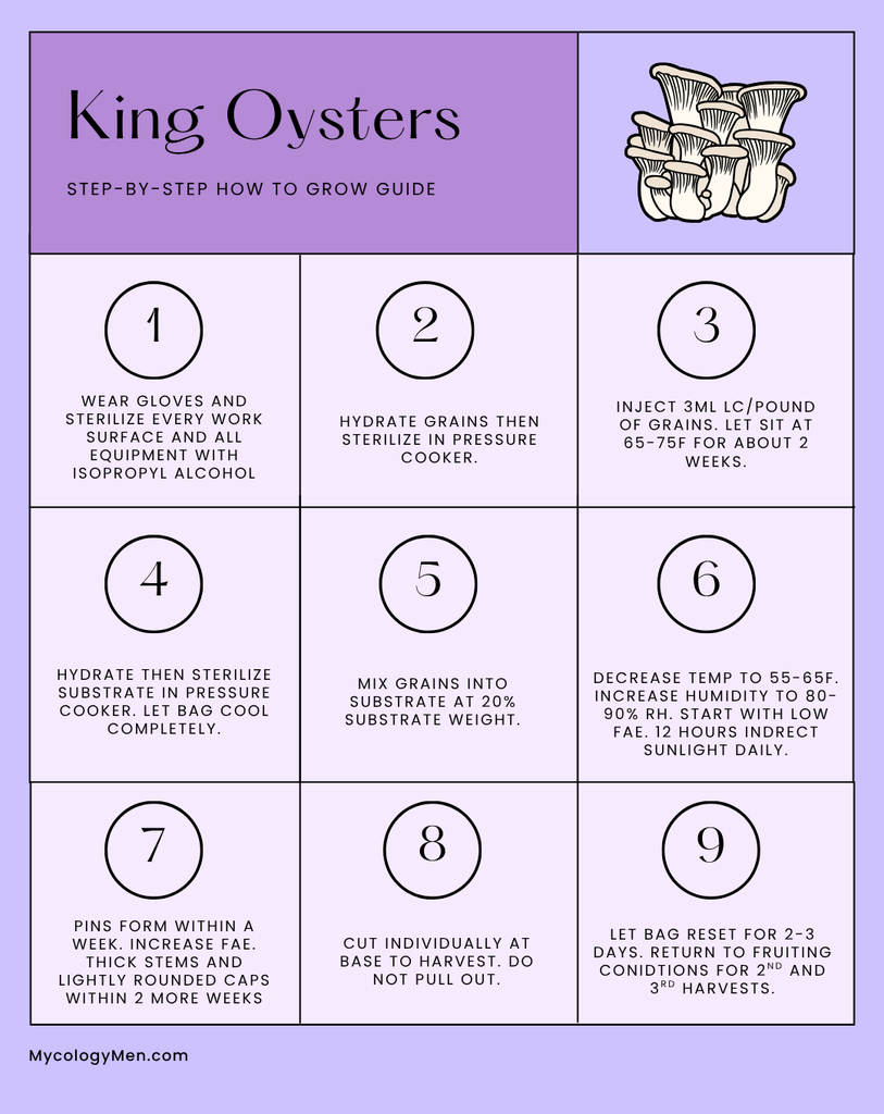 how to grow king oyster mushrooms