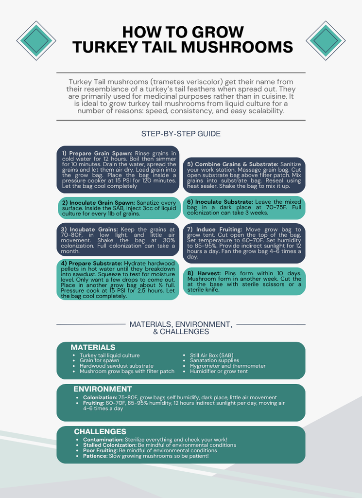 How to Grow Turkey Tail Mushrooms Infographic by Mycology Men